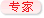 专家